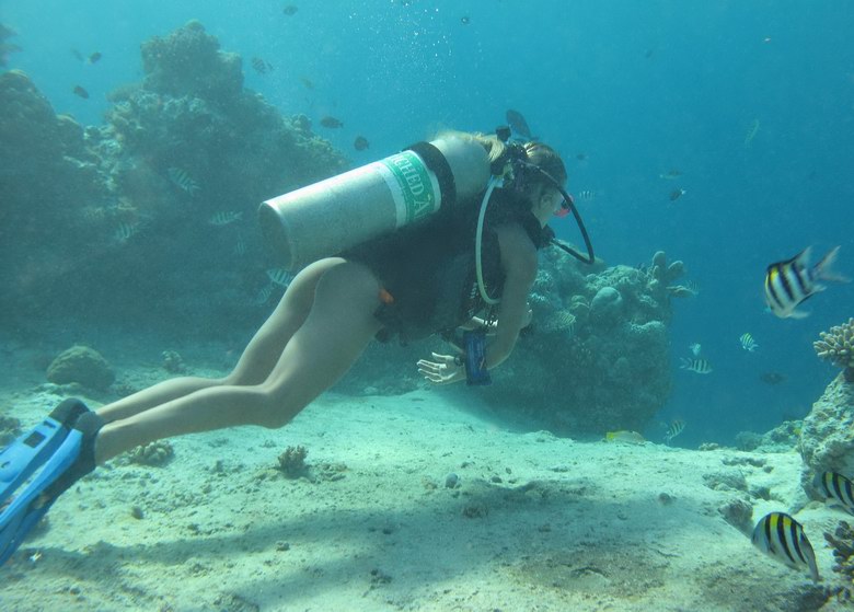 Sexy Diver