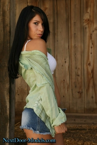 Beautiful long haired strips