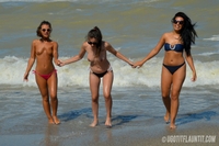 Bianca, Candy & Cleo on the beach